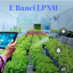 E Banci LPNM: Transforming Malaysian Pineapple Farming