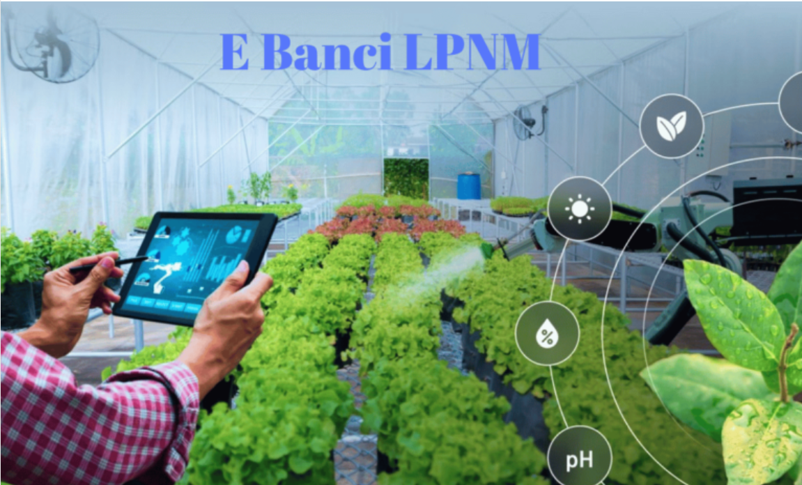 E Banci LPNM: Transforming Malaysian Pineapple Farming