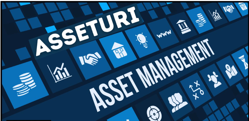 Asseturi: Future Tool for Digital Asset Management