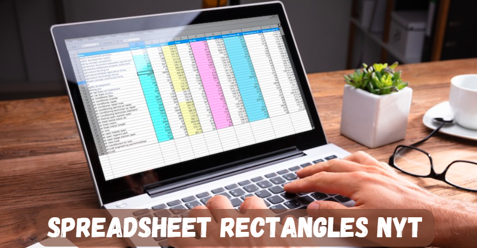 spreadsheet rectangles nyt