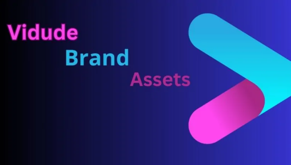 Vidude Brand Assets: Crafting Cohesive Identity for Lasting Impact